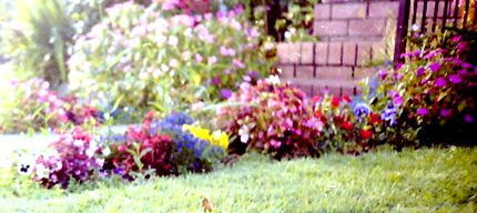 Welcome To Nan's Garden - A beautiful floral embroidery design