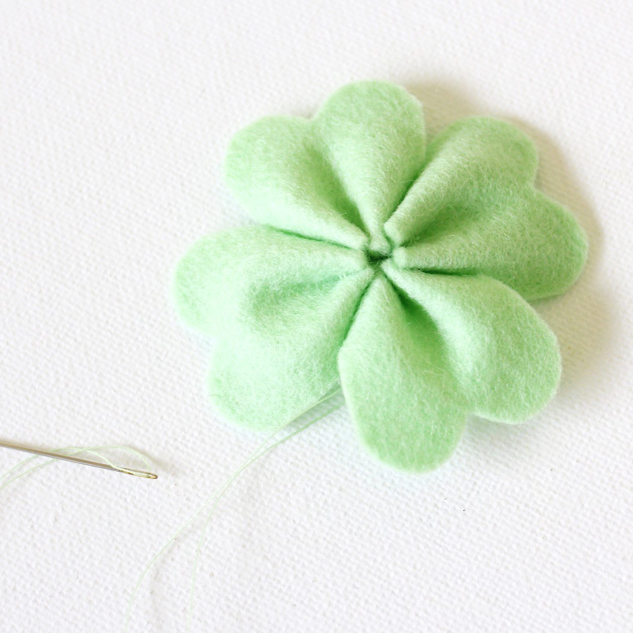 Four Leaf Lucky Clover Shamrock with Black Background - Four Leaf Clover -  Pin